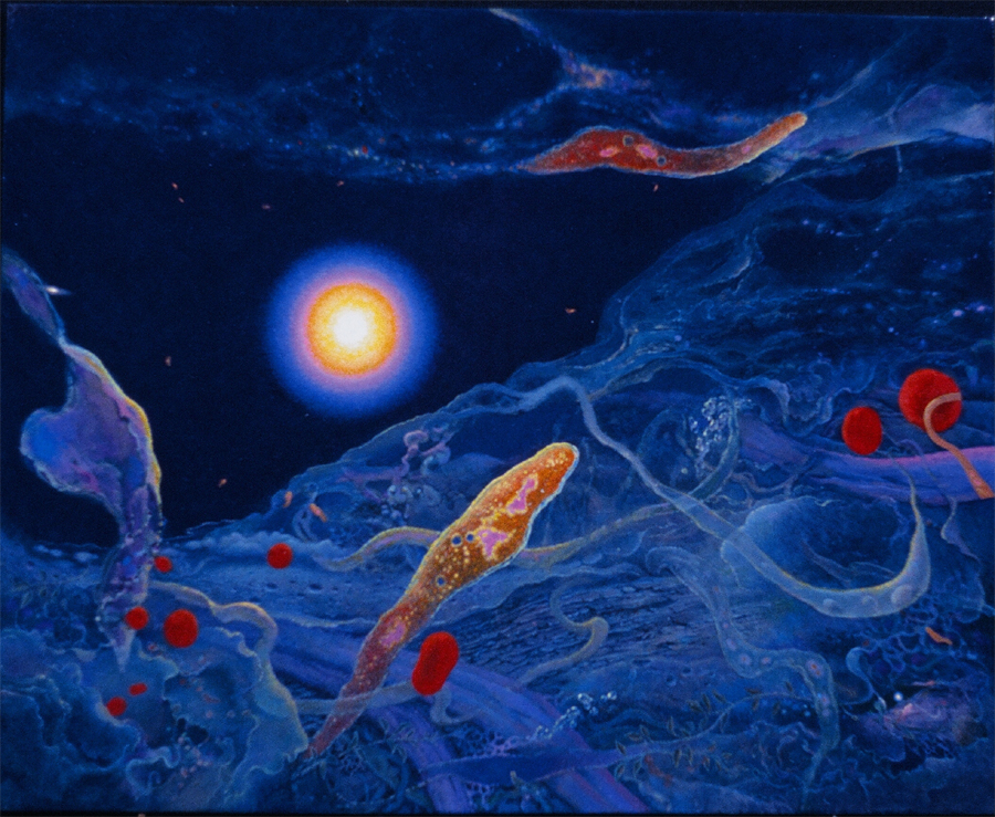 24340001-m